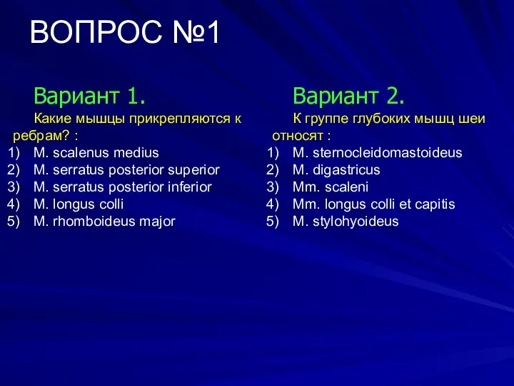 ВОПРОС №1 Вариант 1. Какие мышцы прикрепляются к ребрам? : M.