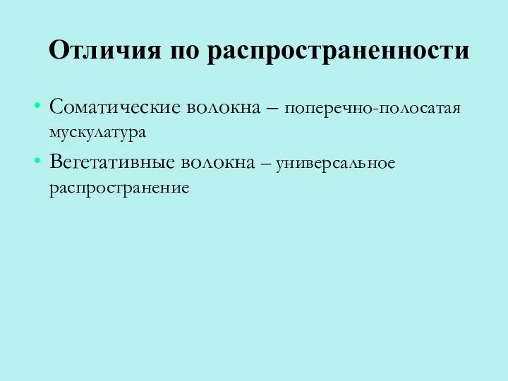 Отличия по распространенности Соматические волокна – поперечно-полосатая мускулатура Вегетативные волокна – универсальное распространение