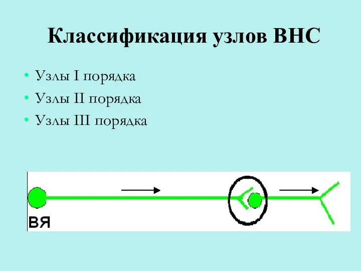 Классификация узлов ВНС Узлы I порядка Узлы II порядка Узлы III порядка