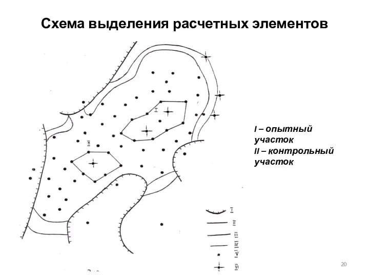 Схема выделения расчетных элементов I – опытный участок II – контрольный участок