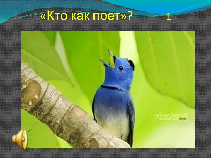 «Кто как поет»? 1