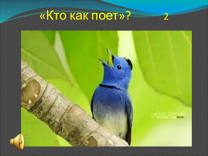 «Кто как поет»? 2