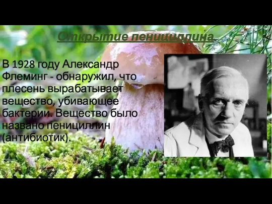 Открытие пенициллина В 1928 году Александр Флеминг - обнаружил, что плесень