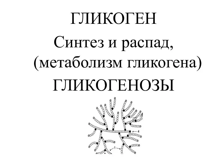 ГЛИКОГЕН Синтез и распад, (метаболизм гликогена) ГЛИКОГЕНОЗЫ