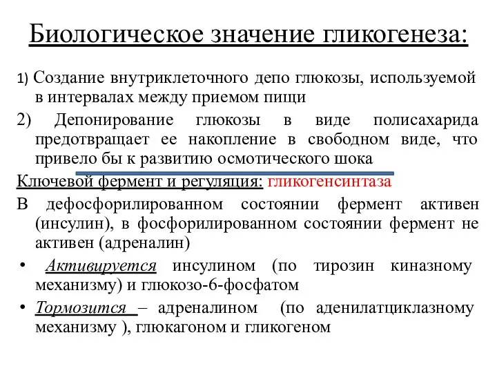 Биологическое значение гликогенеза: 1) Создание внутриклеточного депо глюкозы, используемой в интервалах