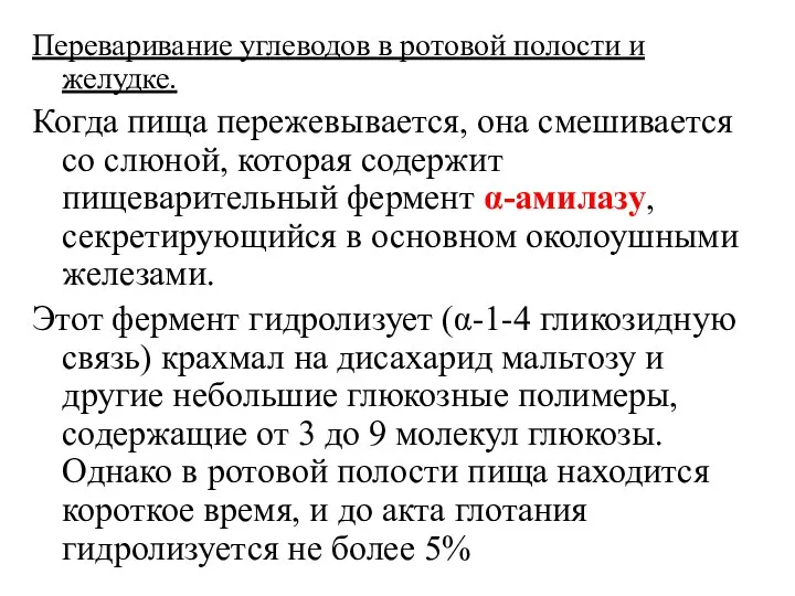 Переваривание углеводов в ротовой полости и желудке. Когда пища пережевывается, она