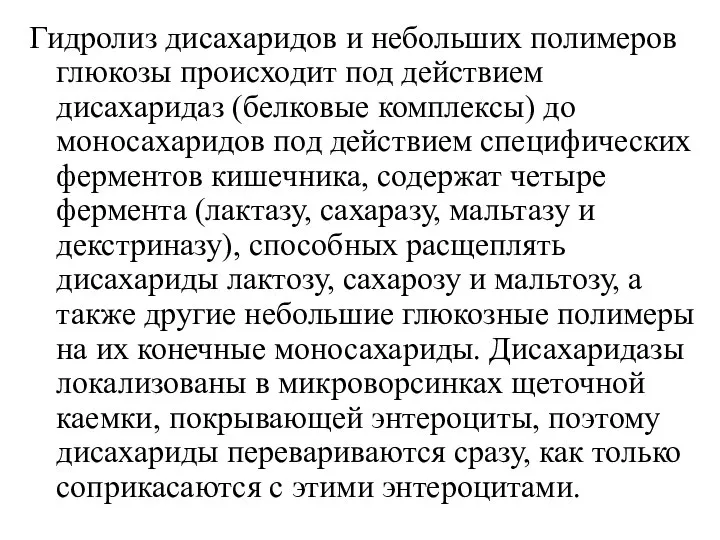 Гидролиз дисахаридов и небольших полимеров глюкозы происходит под действием дисахаридаз (белковые