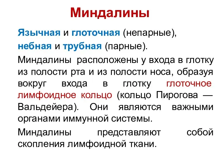 Миндалины Язычная и глоточная (непарные), небная и трубная (парные). Миндалины расположены