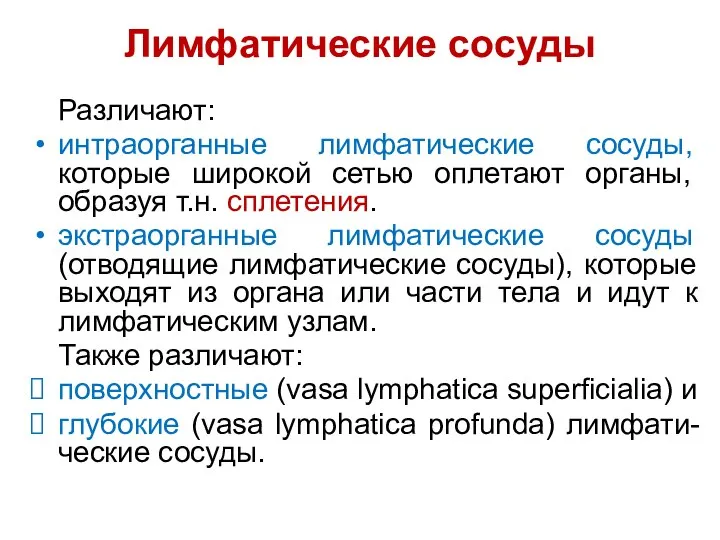 Лимфатические сосуды Различают: интраорганные лимфатические сосуды, которые широкой сетью оплетают органы,