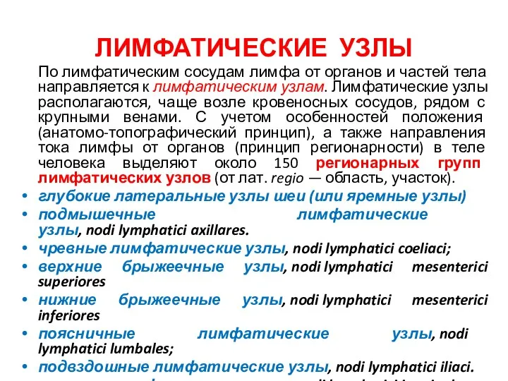 ЛИМФАТИЧЕСКИЕ УЗЛЫ По лимфатическим сосудам лимфа от органов и частей тела