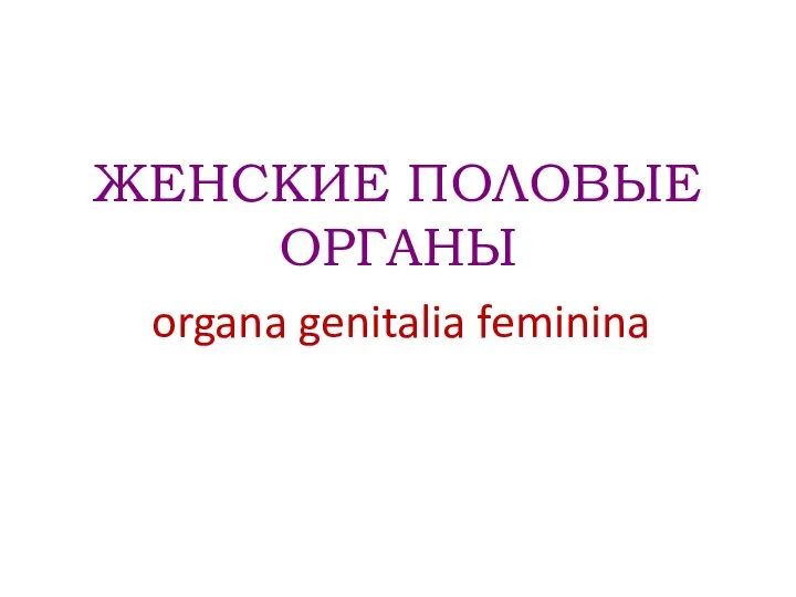 ЖЕНСКИЕ ПОЛОВЫЕ ОРГАНЫ organa genitalia feminina