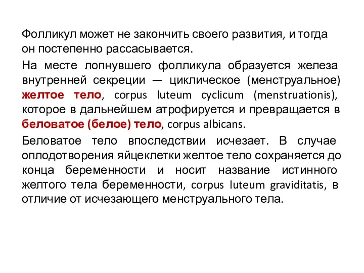 Фолликул может не закончить своего развития, и тогда он постепенно рассасывается.