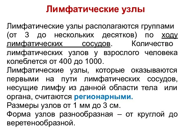 Лимфатические узлы Лимфатические узлы располагаются группами (от 3 до нескольких десятков)