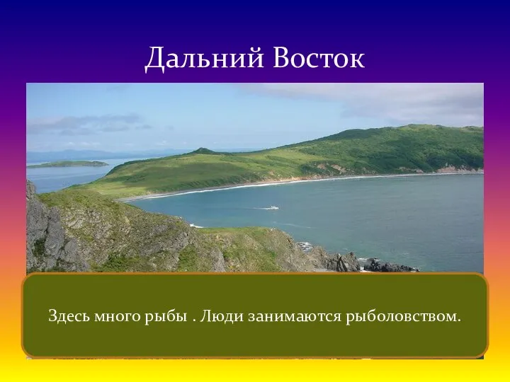 Дальний Восток Здесь много рыбы . Люди занимаются рыболовством.