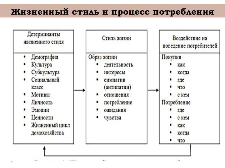 Жизненный стиль и процесс потребления