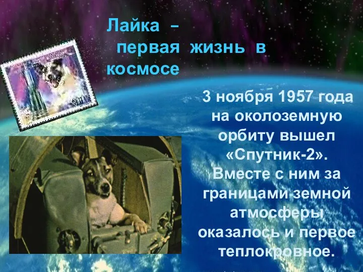 3 ноября 1957 года на околоземную орбиту вышел «Спутник-2». Вместе с