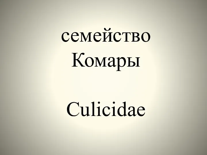 семейство Комары Culicidae