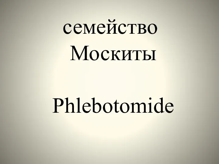 семейство Москиты Phlebotomide
