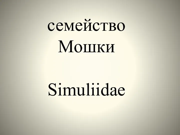 семейство Мошки Simuliidae