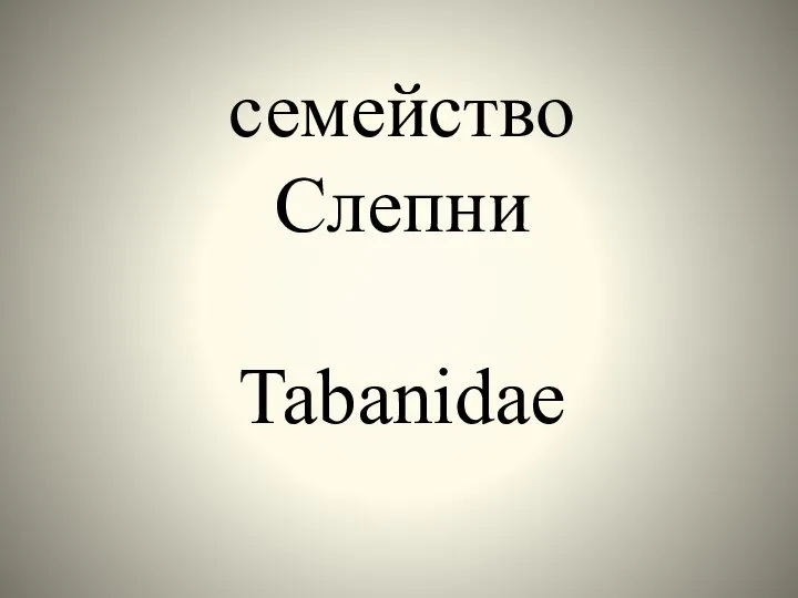 семейство Слепни Tabanidae