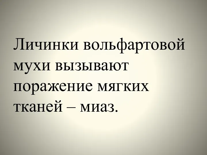 Личинки вольфартовой мухи вызывают поражение мягких тканей – миаз.