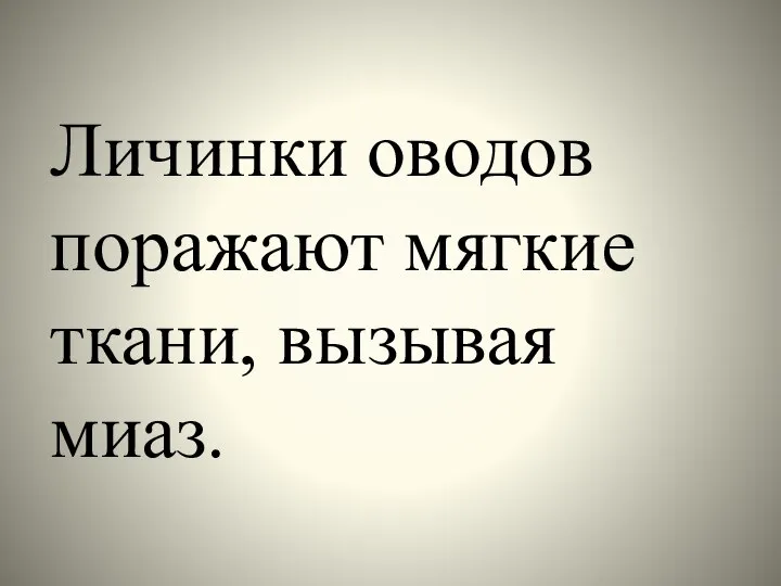 Личинки оводов поражают мягкие ткани, вызывая миаз.