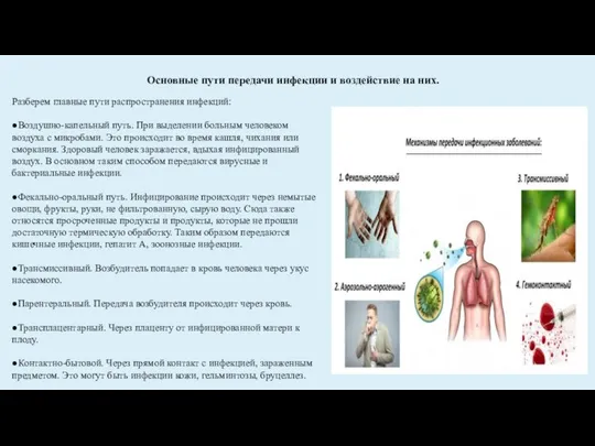 Основные пути передачи инфекции и воздействие на них. Разберем главные пути