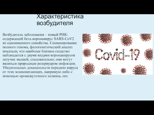 Характеристика возбудителя Возбудитель заболевания – новый РНК-содержащий бета-коронавирус SARS-CoV2 из одноименного