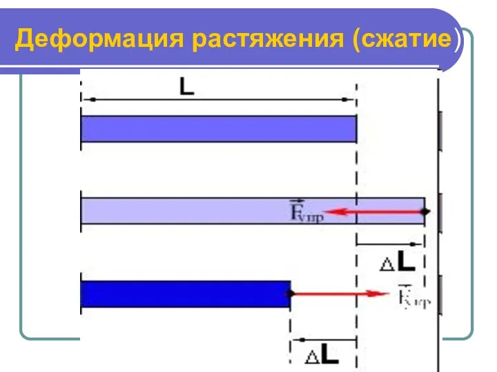 Деформация растяжения (сжатие)