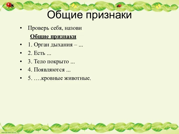 Проверь себя, назови Общие признаки 1. Орган дыхания – ... 2.