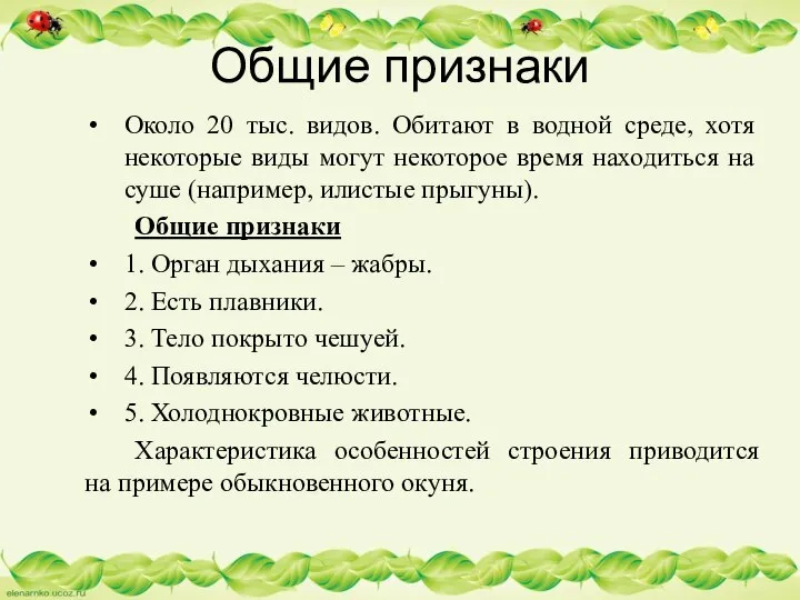 Около 20 тыс. видов. Обитают в водной среде, хотя некоторые виды