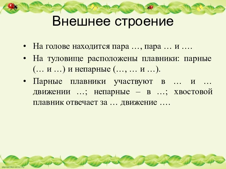 Внешнее строение На голове находится пара …, пара … и ….