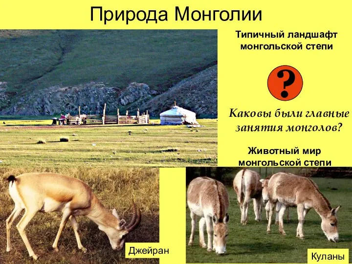 Природа Монголии Куланы Джейран Типичный ландшафт монгольской степи Животный мир монгольской