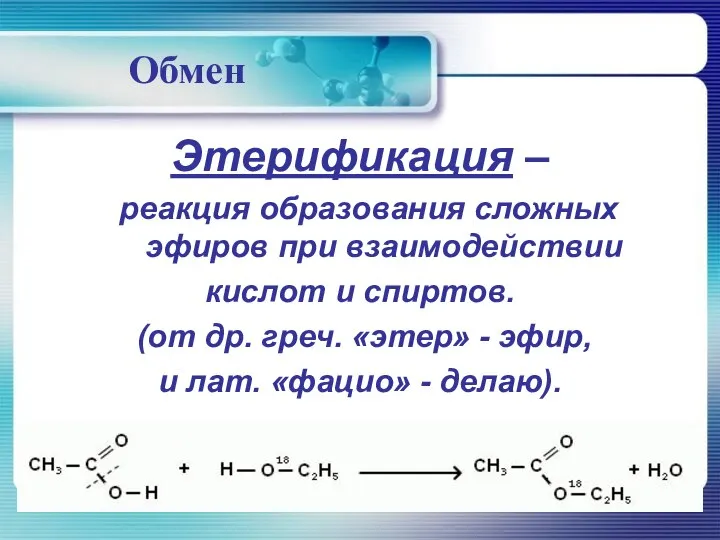 Обмен Этерификация – реакция образования сложных эфиров при взаимодействии кислот и