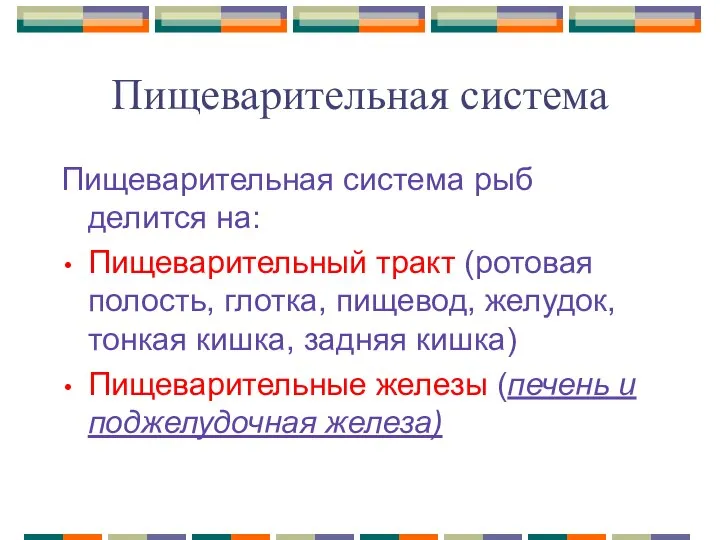 Пищеварительная система Пищеварительная система рыб делится на: Пищеварительный тракт (ротовая полость,