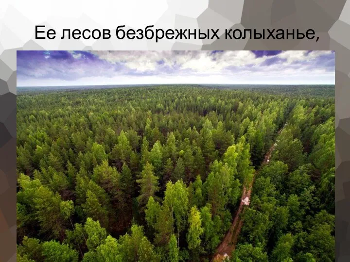 Ее лесов безбрежных колыханье,