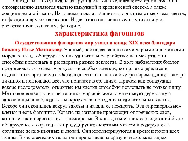 Фагоциты – это уникальная группа клеток в человеческом организме. Они одновременно