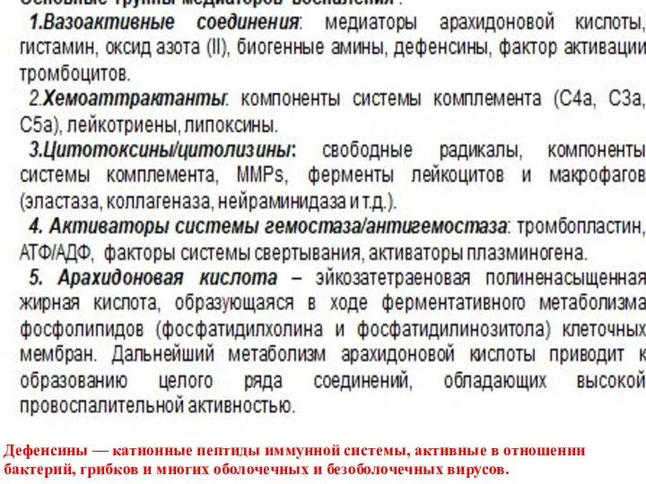 Дефенсины — катионные пептиды иммунной системы, активные в отношении бактерий, грибков