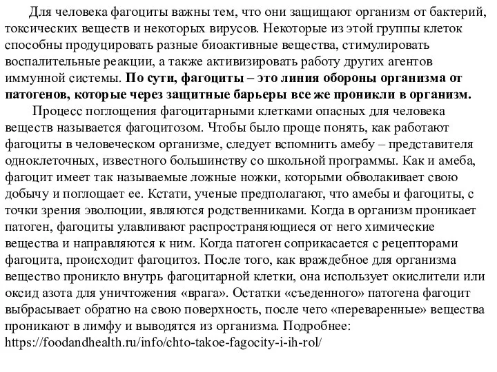 Для человека фагоциты важны тем, что они защищают организм от бактерий,