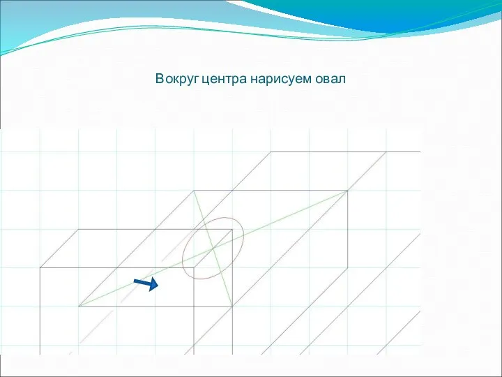 Вокруг центра нарисуем овал