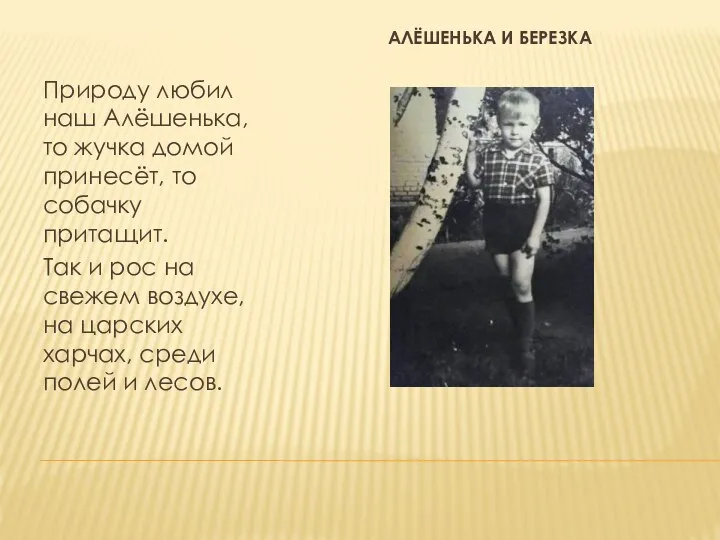 АЛЁШЕНЬКА И БЕРЕЗКА Природу любил наш Алёшенька, то жучка домой принесёт,