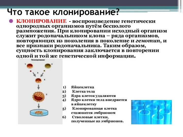 Что такое клонирование? КЛОНИРОВАНИЕ - воспроизведение генетически однородных организмов путём бесполого