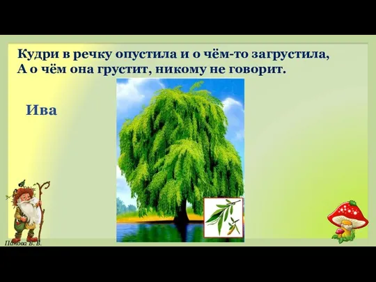 Ива Кудри в речку опустила и о чём-то загрустила, А о