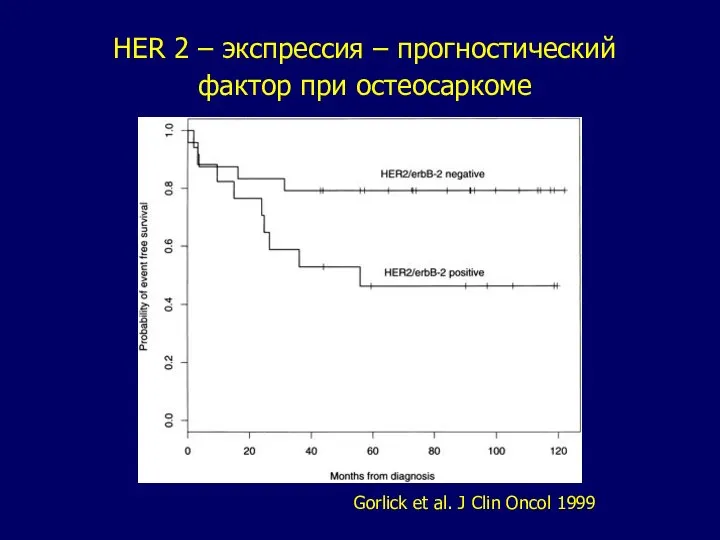 Gorlick et al. J Clin Oncol 1999 HER 2 – экспрессия – прогностический фактор при остеосаркоме