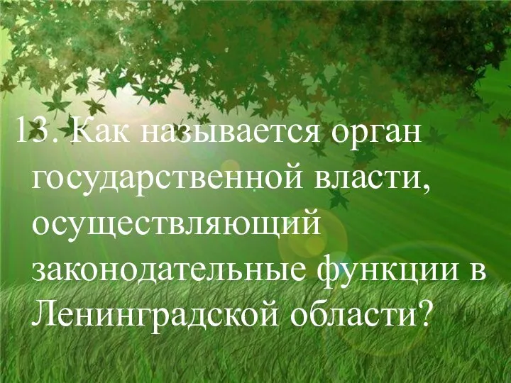 13. Как называется орган государственной власти, осуществляющий законодательные функции в Ленинградской области?