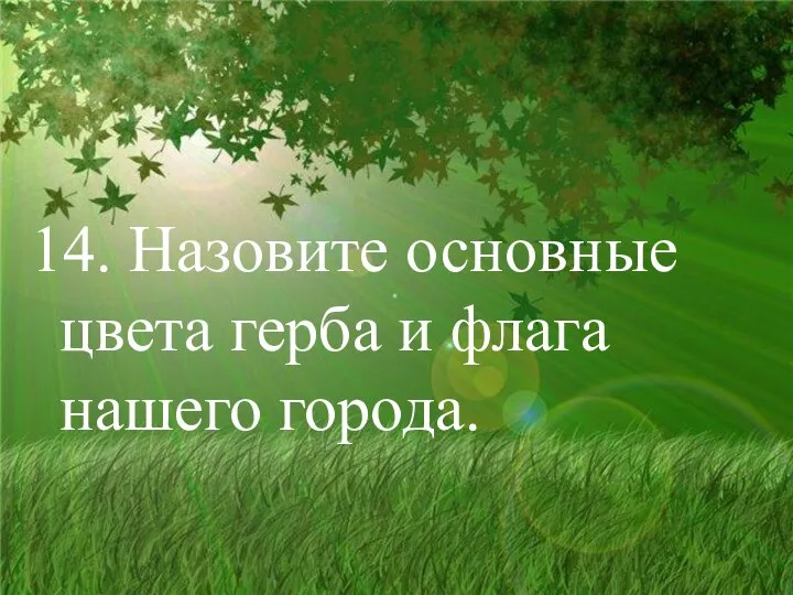 14. Назовите основные цвета герба и флага нашего города.