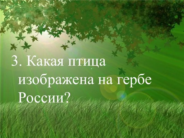 3. Какая птица изображена на гербе России?