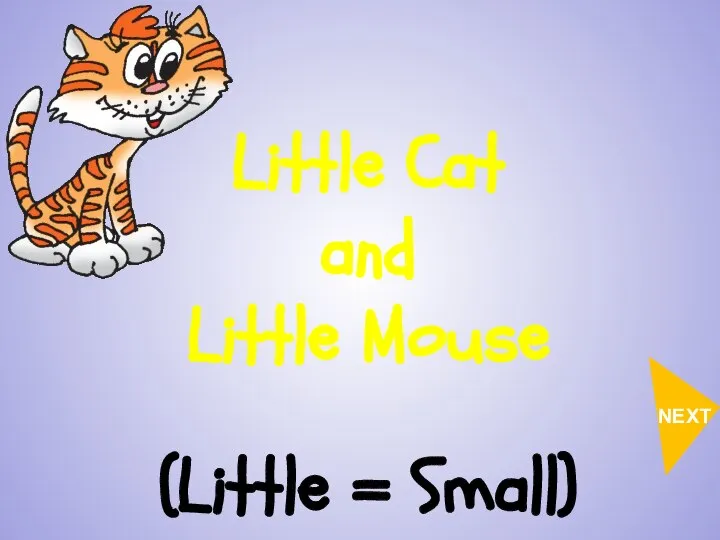 Little Cat and Little Mouse (Little = Small) NEXT