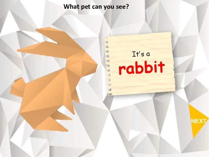 NEXT What pet can you see?