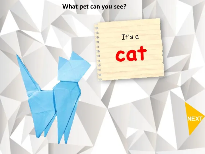 NEXT What pet can you see?